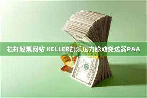 杠杆股票网站 KELLER凯乐压力脉动变送器PAA