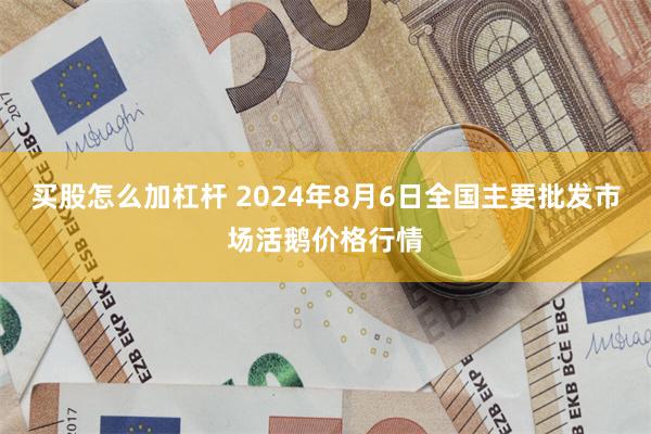 买股怎么加杠杆 2024年8月6日全国主要批发市场活鹅价格行情