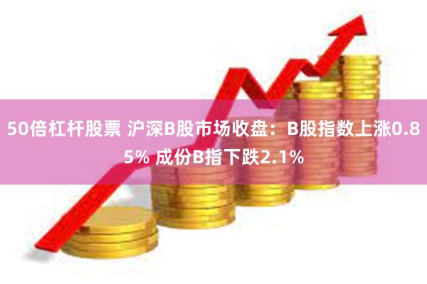 50倍杠杆股票 沪深B股市场收盘：B股指数上涨0.85% 成份B指下跌2.1%