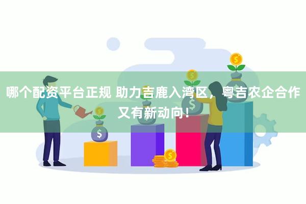 哪个配资平台正规 助力吉鹿入湾区，粤吉农企合作又有新动向！