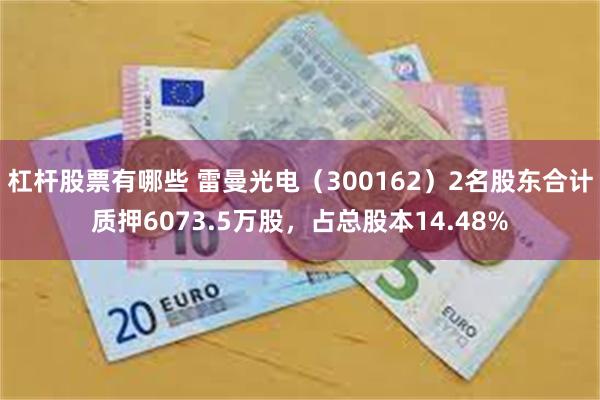 杠杆股票有哪些 雷曼光电（300162）2名股东合计质押6073.5万股，占总股本14.48%