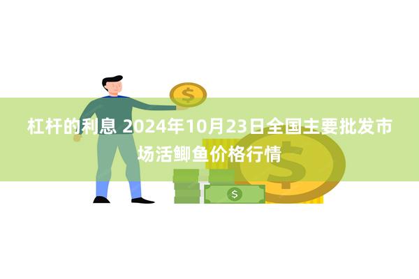 杠杆的利息 2024年10月23日全国主要批发市场活鲫鱼价格行情